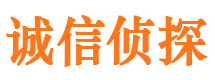 石河子侦探公司